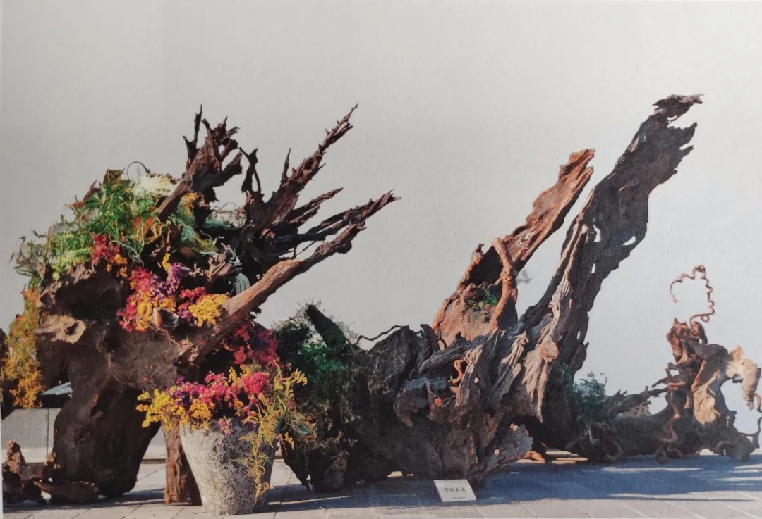 中國(guó)人的插花理念